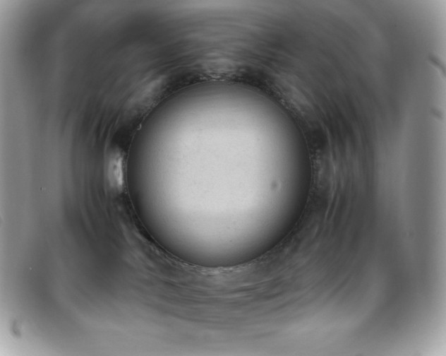 X0000095890042200801111205