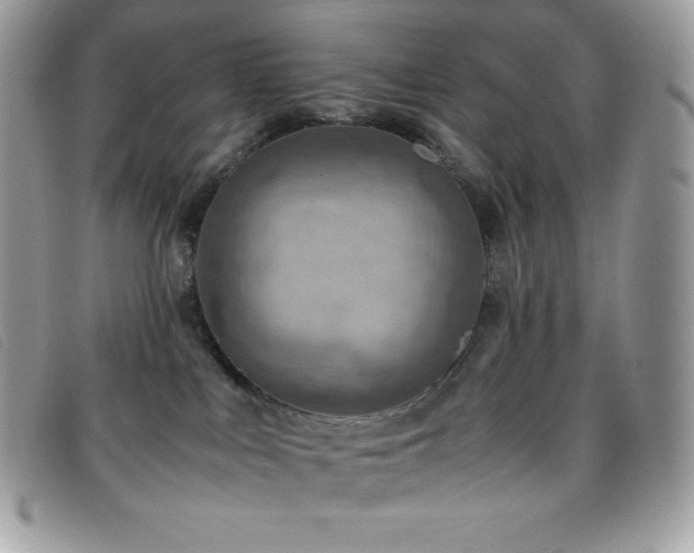 X0000095890043200801111205