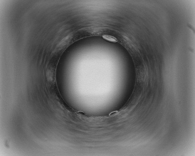 X0000095890044200801111205