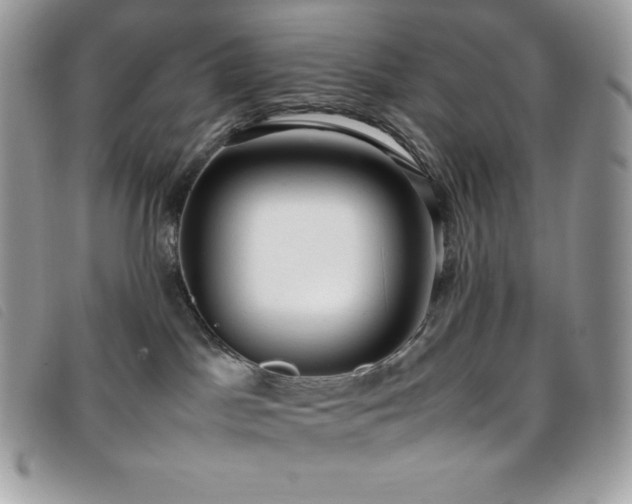 X0000095890045200801111205