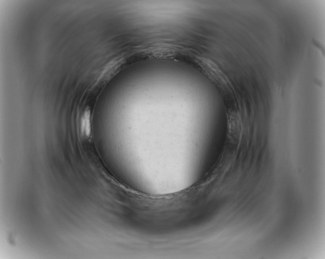 X0000095890046200801111205