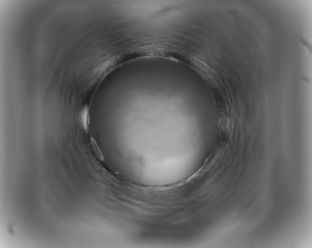 X0000095890047200801111205