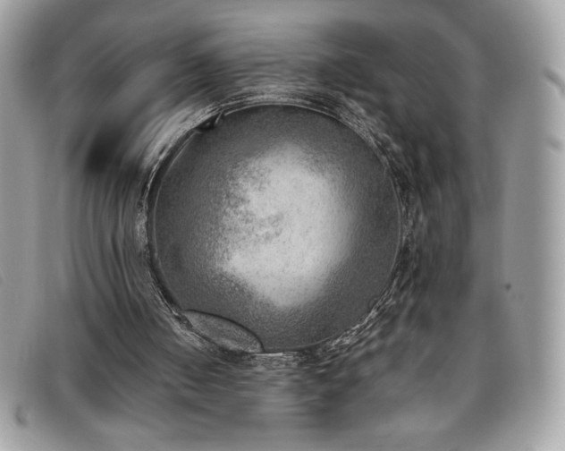 X0000095890050200801111204