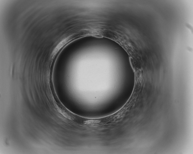 X0000095890051200801111204