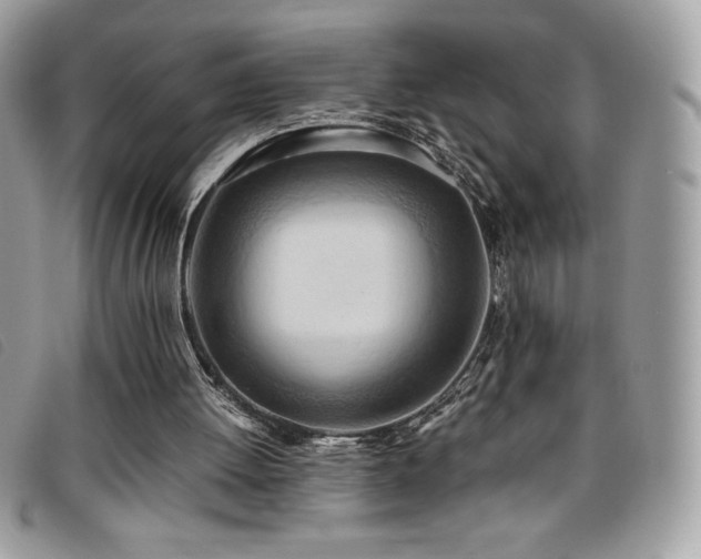 X0000095890052200801111204