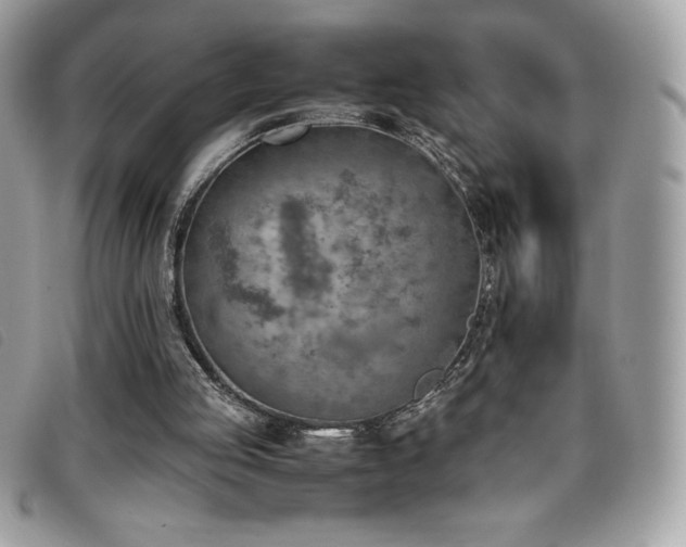X0000095890053200801111204