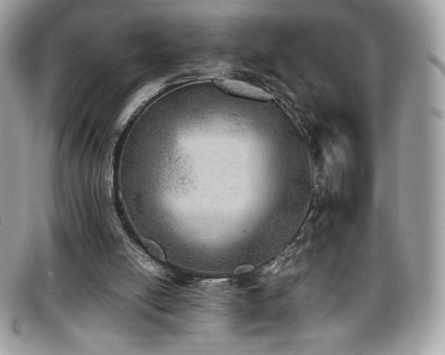 X0000095890054200801111204