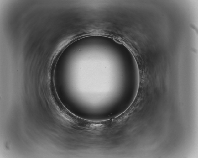 X0000095890055200801111204
