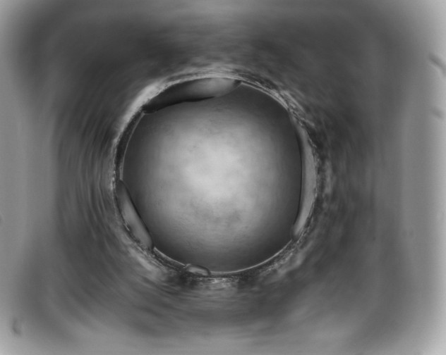 X0000095890056200801111204