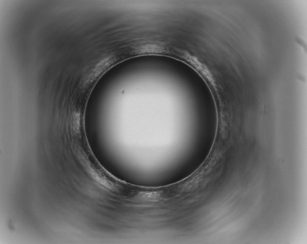 X0000095890057200801111204