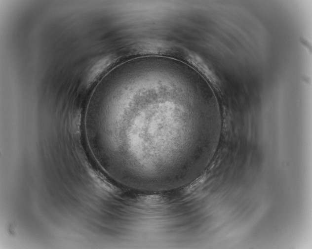 X0000095890058200801111204
