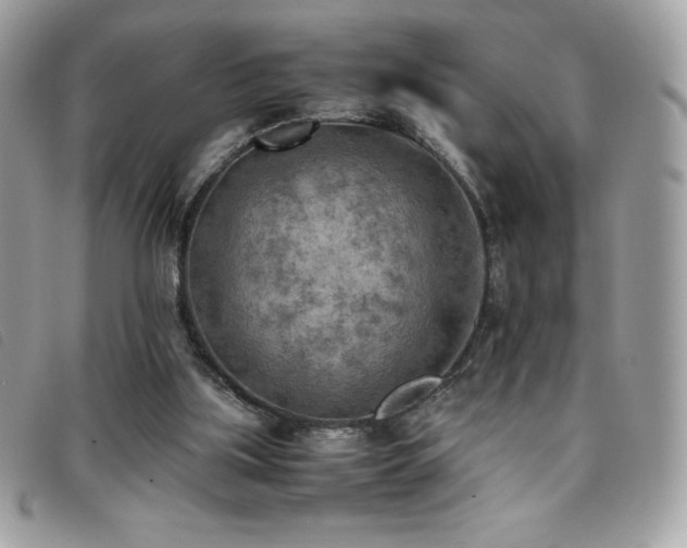 X0000095890059200801111204
