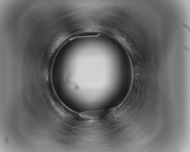 X0000095890060200801111204