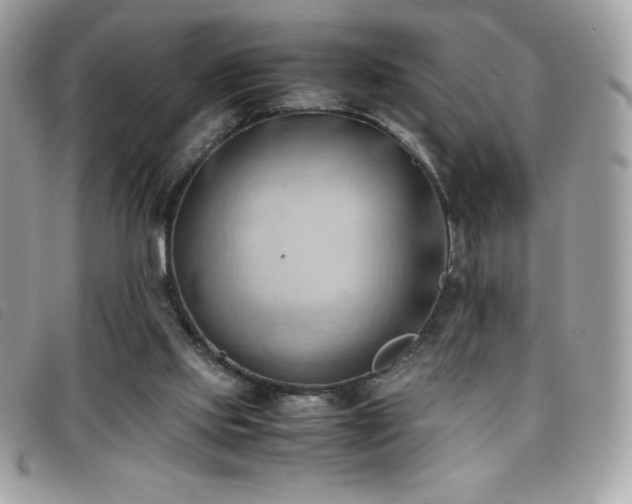 X0000095890061200801111204