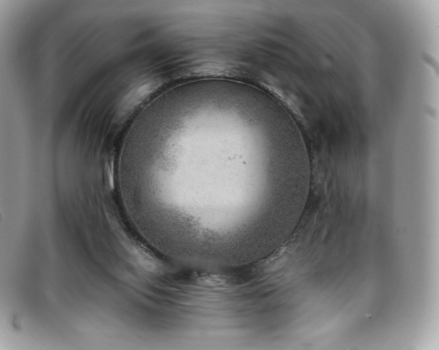 X0000095890062200801111204