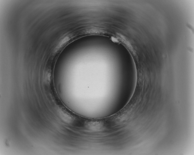 X0000095890063200801111204