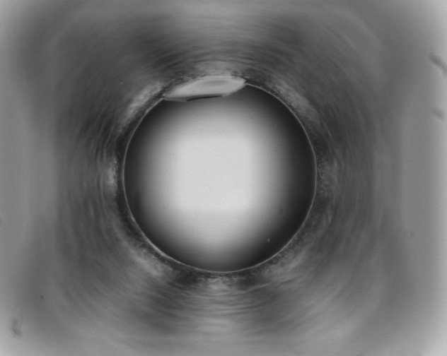 X0000095890064200801111204