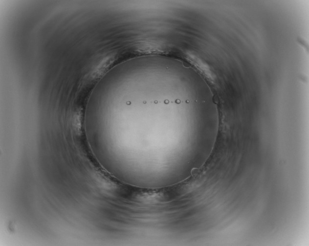 X0000095890065200801111204