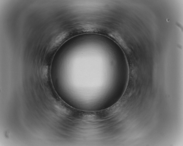 X0000095890066200801111204
