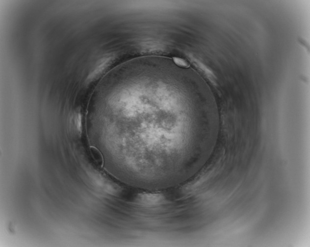 X0000095890067200801111204