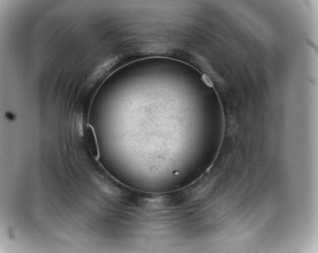 X0000095890068200801111204