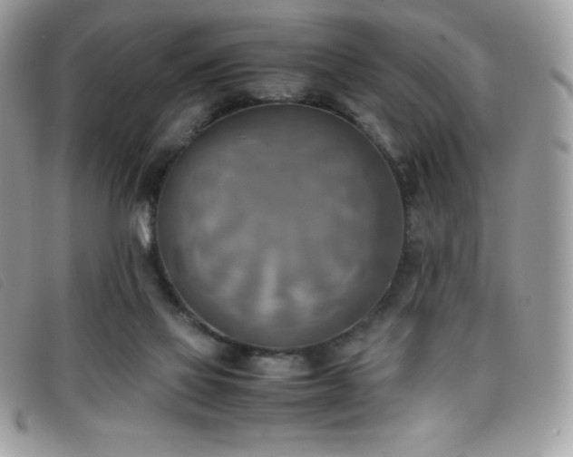 X0000095890069200801111204