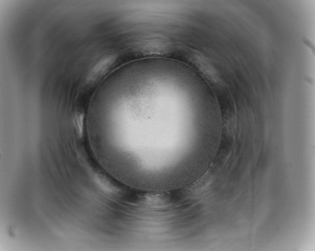 X0000095890070200801111204
