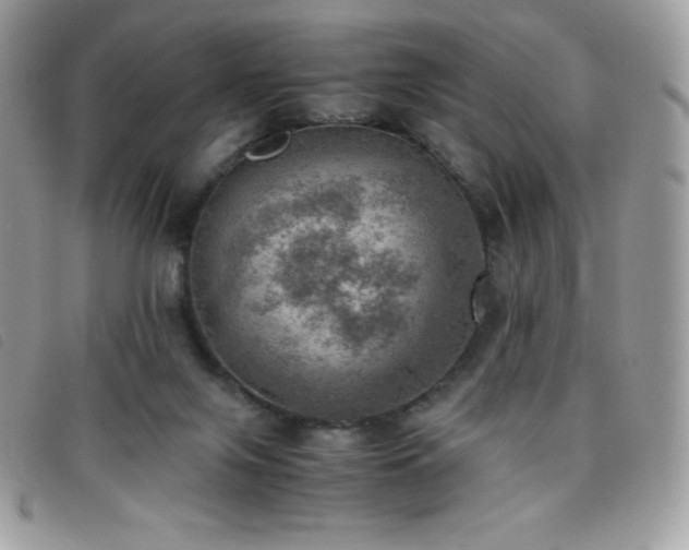 X0000095890071200801111204