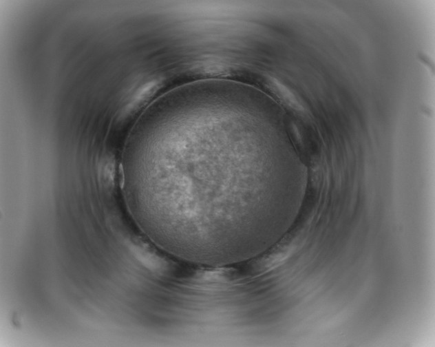 X0000095890072200801111204
