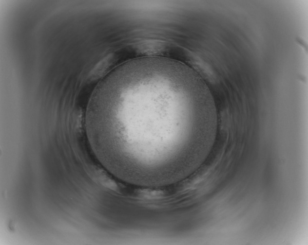 X0000095890073200801111204