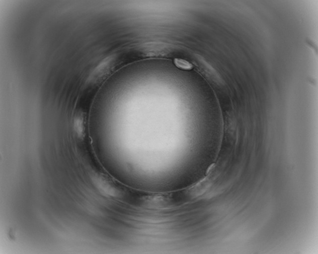 X0000095890074200801111204