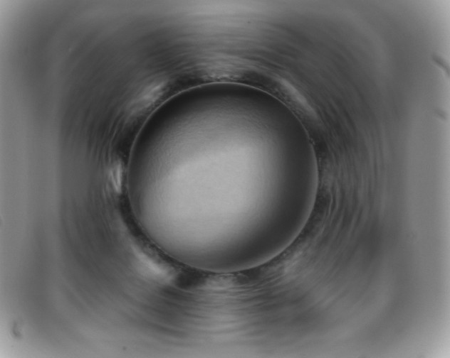 X0000095890076200801111205