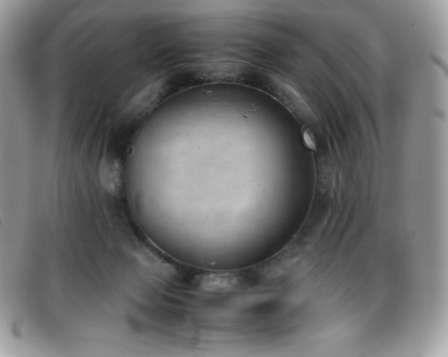 X0000095890077200801111205