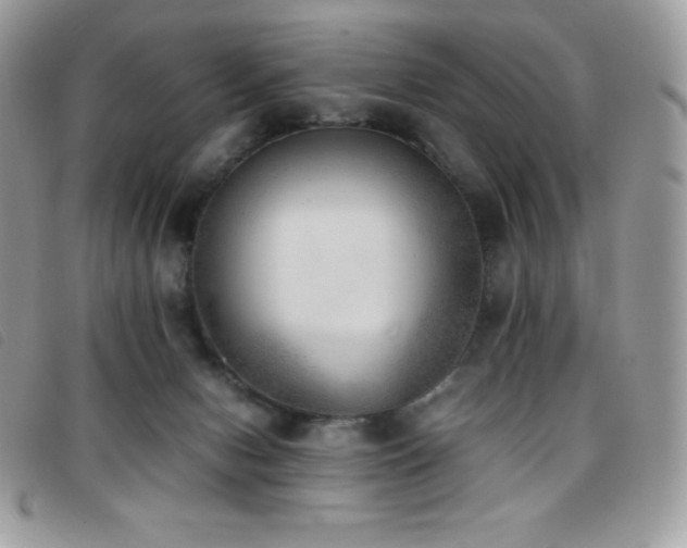X0000095890078200801111205