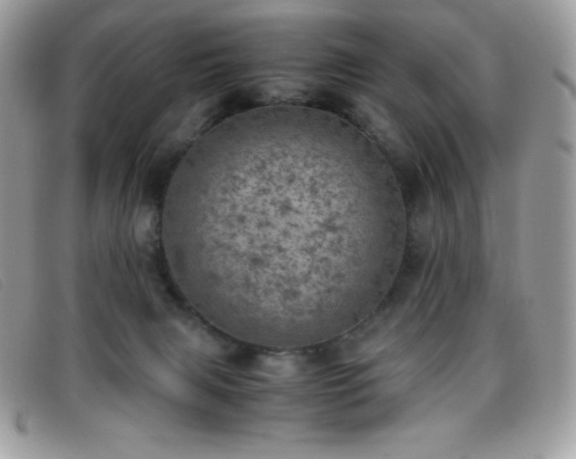 X0000095890079200801111205