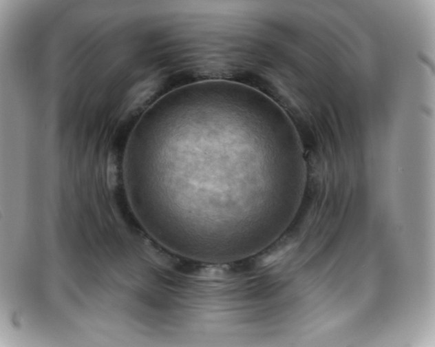 X0000095890080200801111205