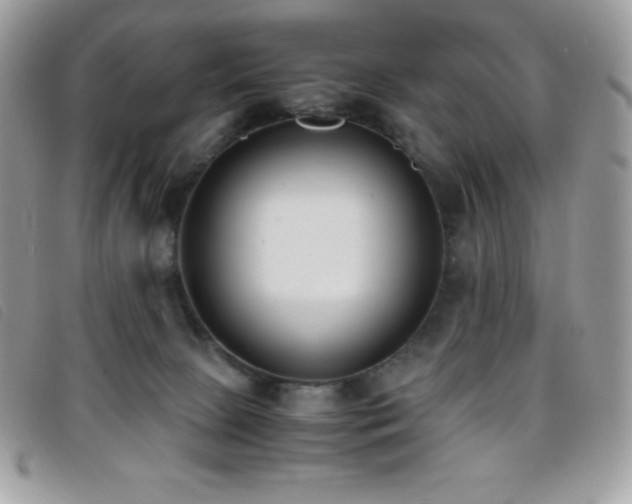 X0000095890081200801111205