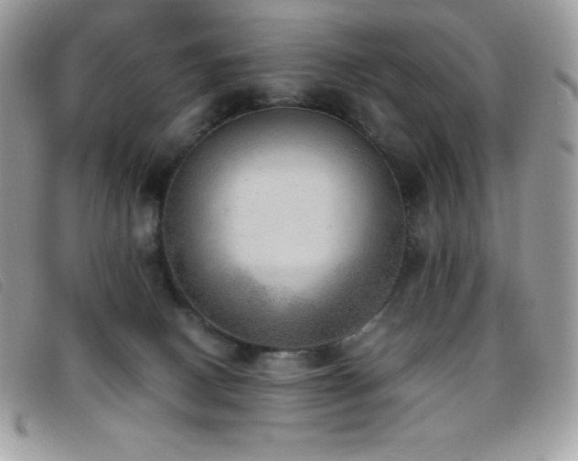 X0000095890082200801111205