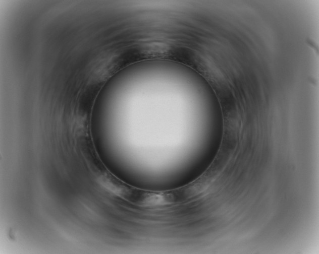 X0000095890083200801111205
