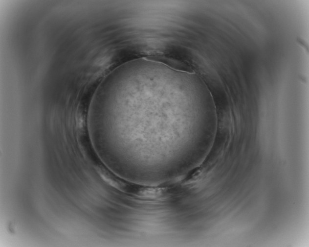 X0000095890084200801111205