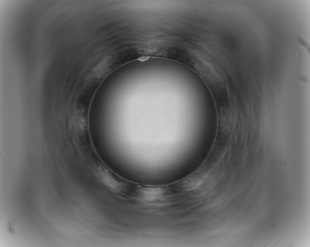 X0000095890085200801111205