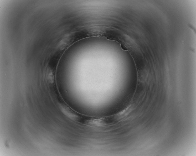 X0000095890086200801111205