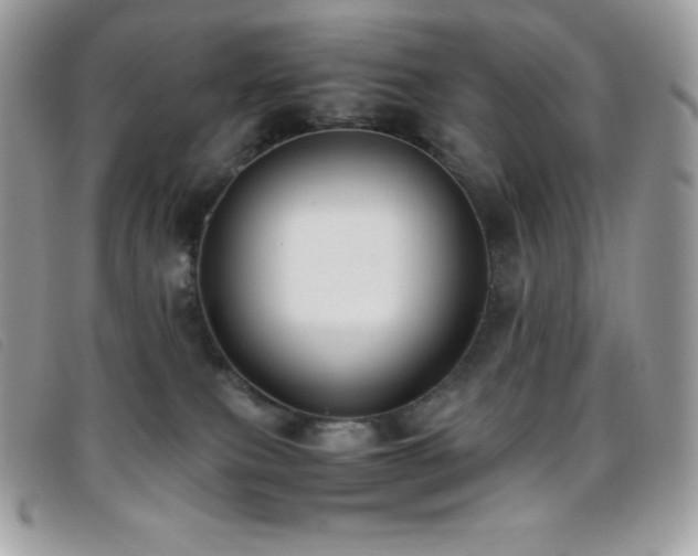 X0000095890087200801111205