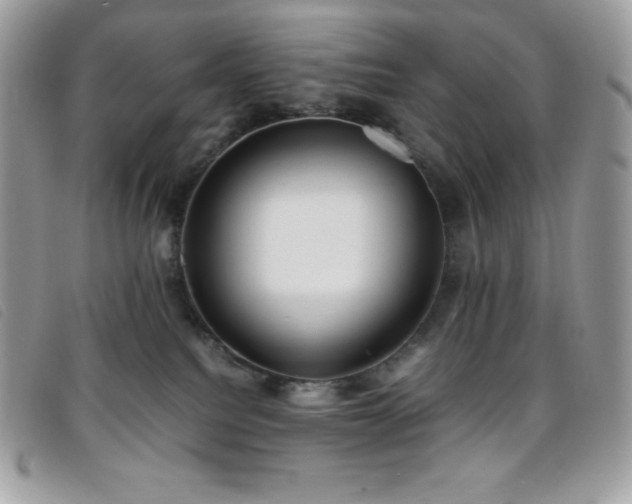 X0000095890088200801111205