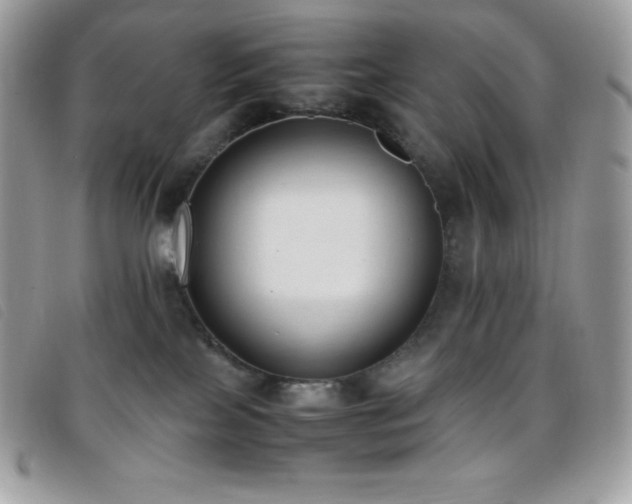X0000095890089200801111205