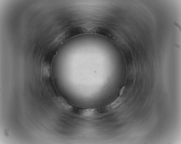 X0000095890090200801111205