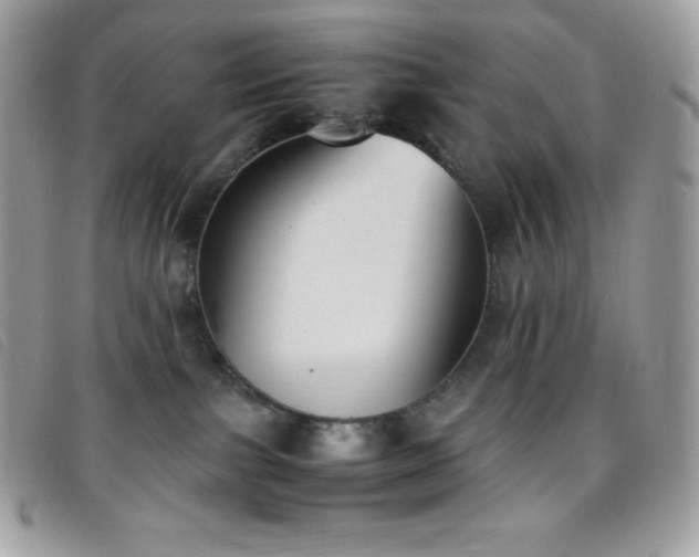 X0000095890091200801111205