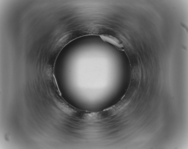 X0000095890092200801111205