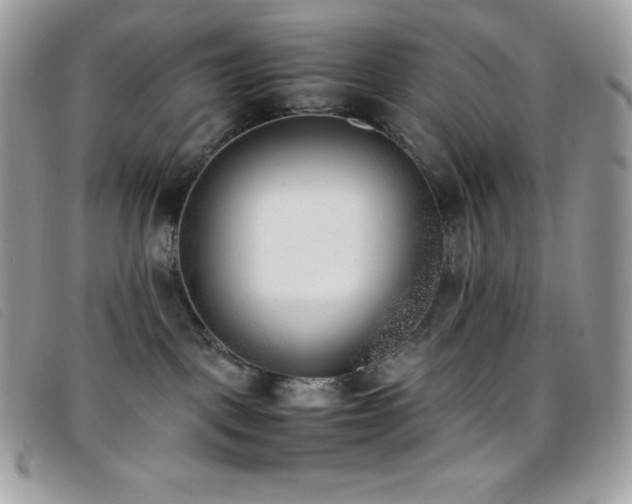 X0000095890093200801111205