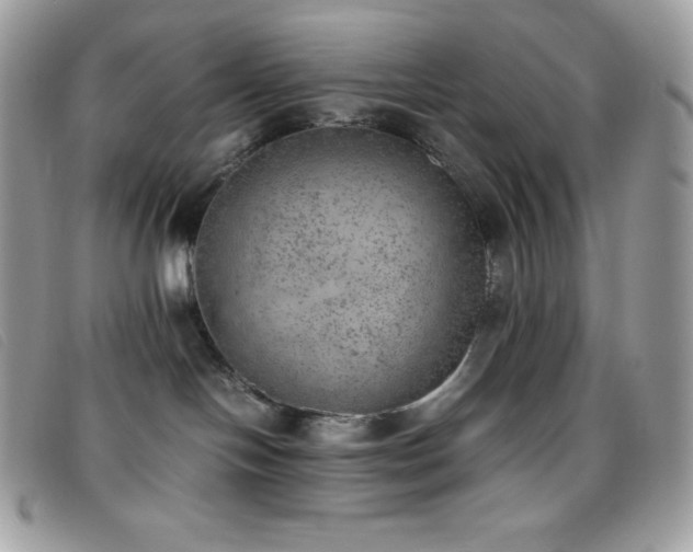 X0000095890094200801111205